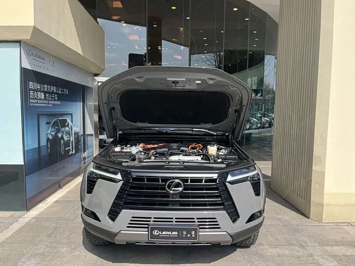 Фото 6 - Lexus GX