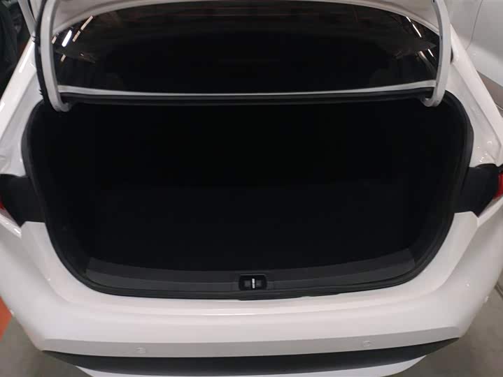 Фото 4 - Toyota Levin