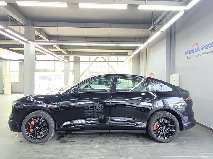 Фото 5 - IM motors LS6