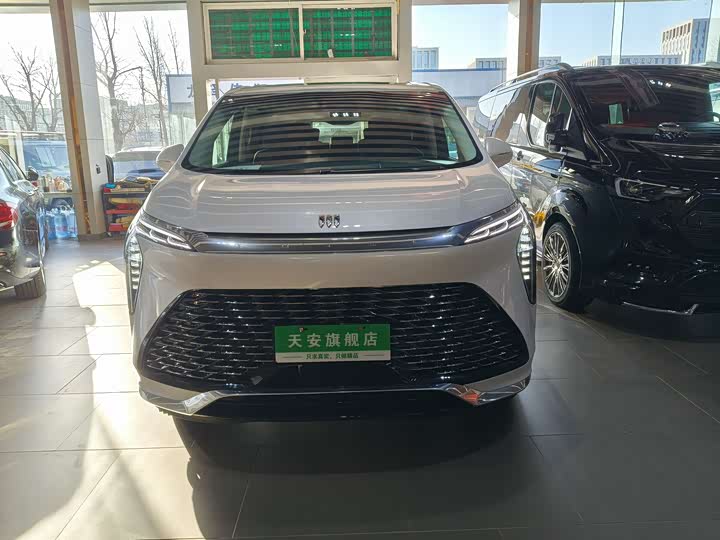 Фото 2 - Buick GL8 Century