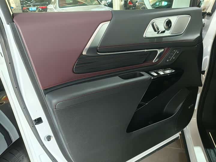 Фото 6 - Buick GL8 Century