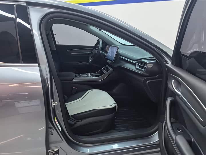 Фото 8 - BYD Destroyer 05