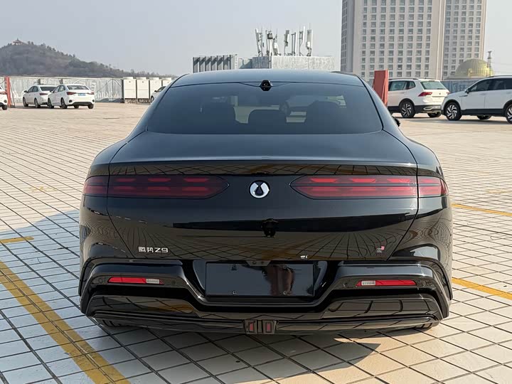 Фото 6 - Denza Z9