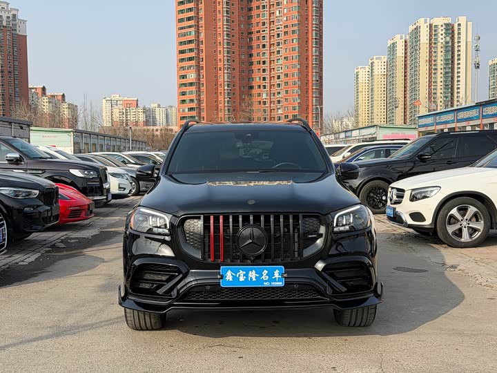 Mercedes-Benz GLS-Class 2022 2022款 GLS 450 4MATIC 时尚型
