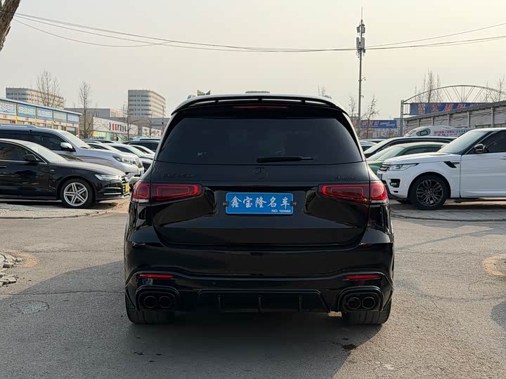 Mercedes-Benz GLS-Class 2022 2022款 GLS 450 4MATIC 时尚型