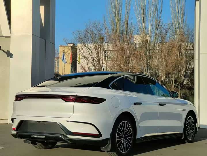 Фото 9 - BYD Han