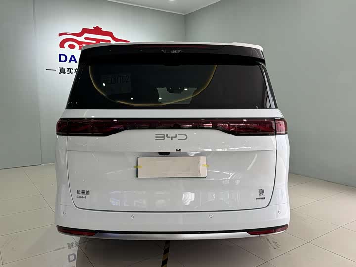 Фото 9 - BYD Xia