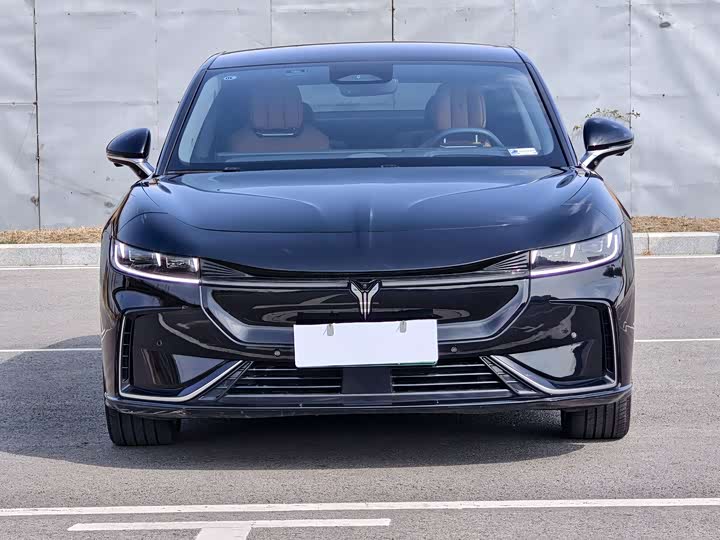 Photo 2 - Voyah Passion