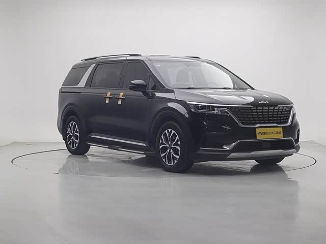 Фото 3 - Kia Carnival