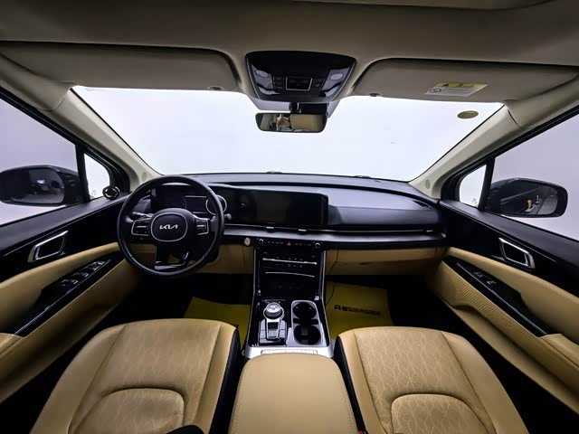 Фото 9 - Kia Carnival