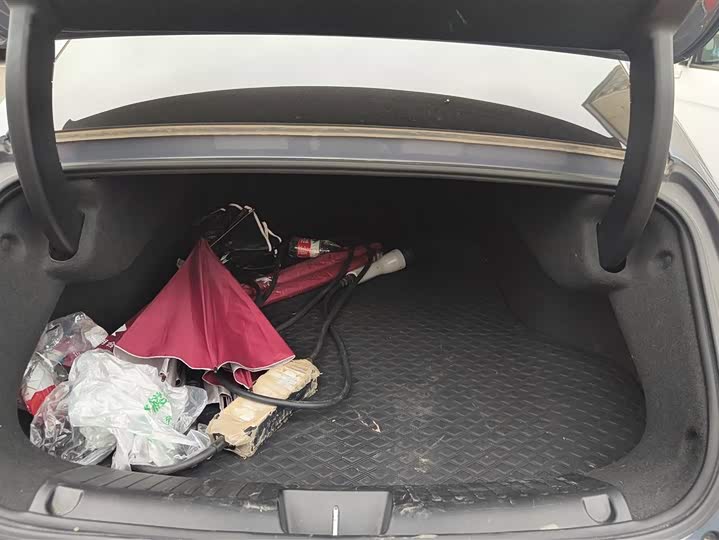 Фото 4 - Ora Lightning Cat (07)