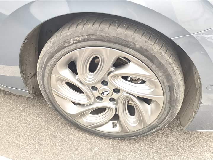 Фото 6 - Ora Lightning Cat (07)