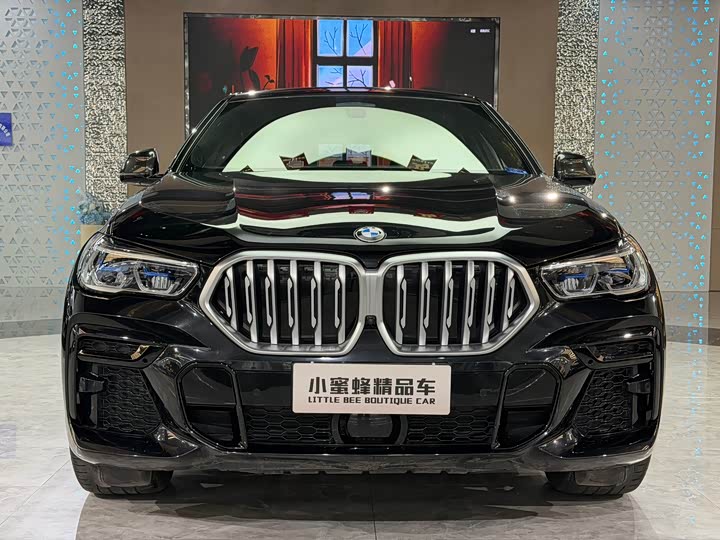Фото 2 - BMW X6