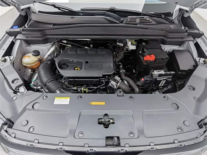 Фото 6 - Dongfeng Aeolus Haoji