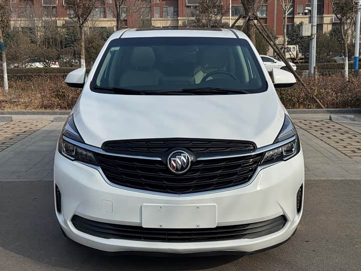 Фото 2 - Buick GL8 ES