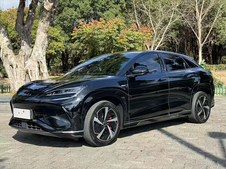 Фото 1 - BYD Sea Lion 07 EV