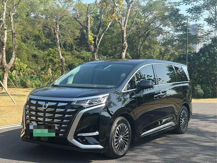 Фото 1 - Denza D9