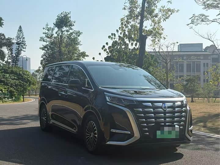 Фото 3 - Denza D9