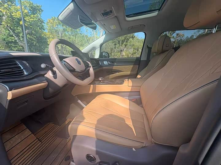 Фото 4 - Denza D9