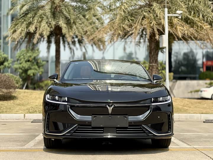 Фото 2 - Voyah Passion