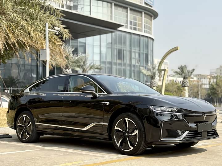 Фото 3 - Voyah Passion