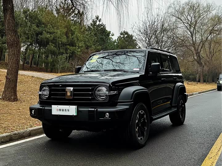 Фото 1 - Tank 300 Hybrid