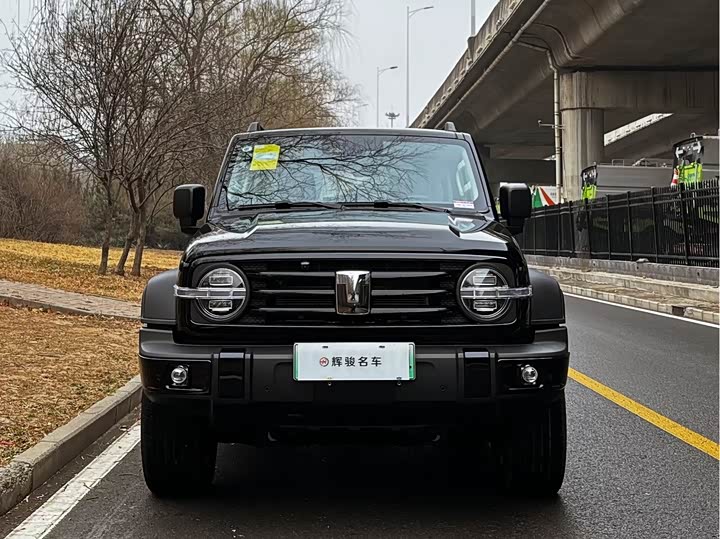 Фото 2 - Tank 300 Hybrid