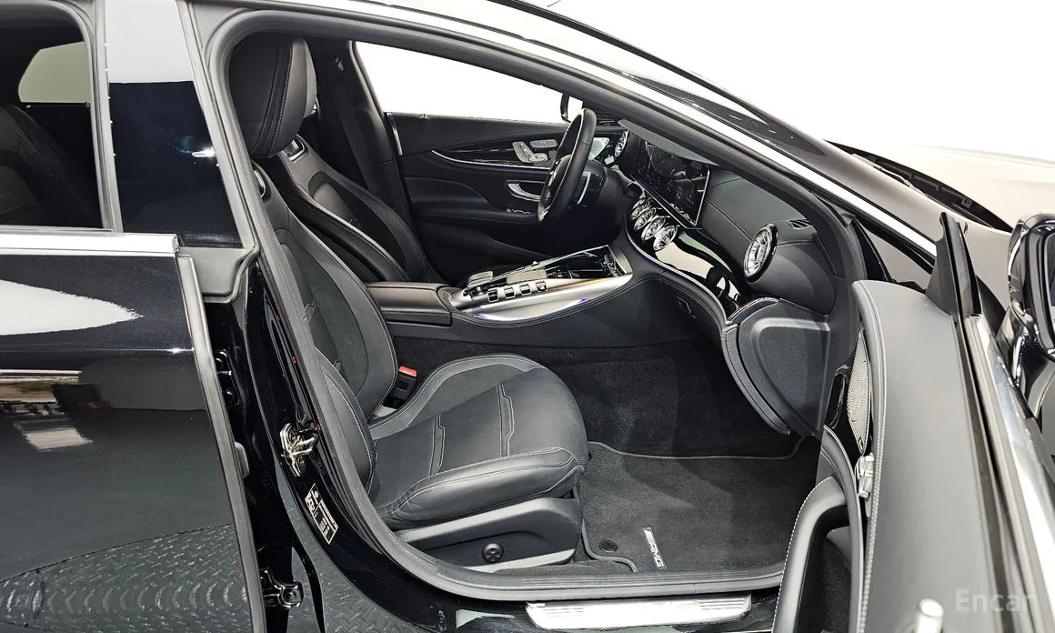 Фото 11 - Mercedes-Benz AMG GT