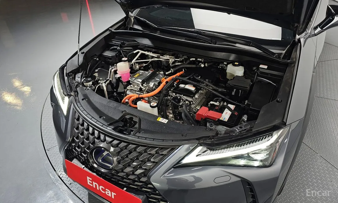 Фото 6 - Lexus UX