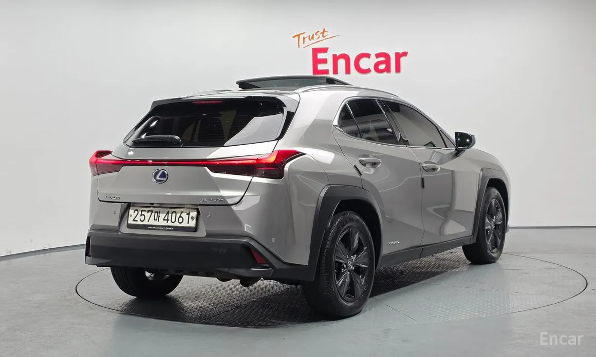 Lexus UX 2019 2.0 2WD