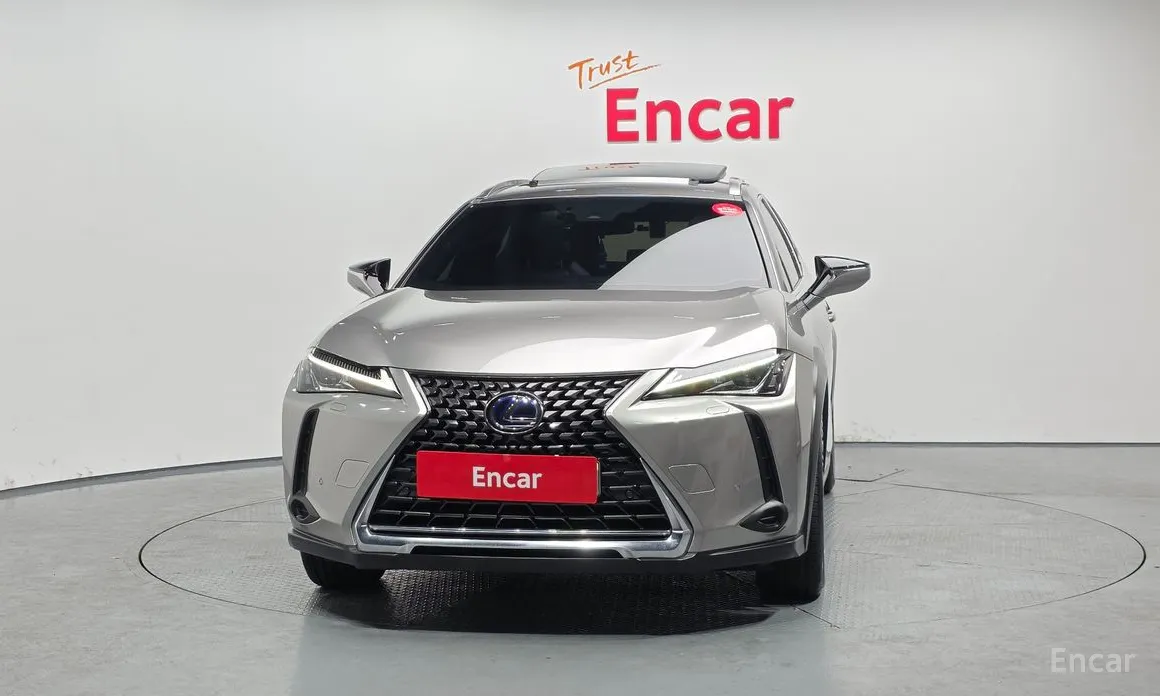 Lexus UX 2019 2.0 2WD
