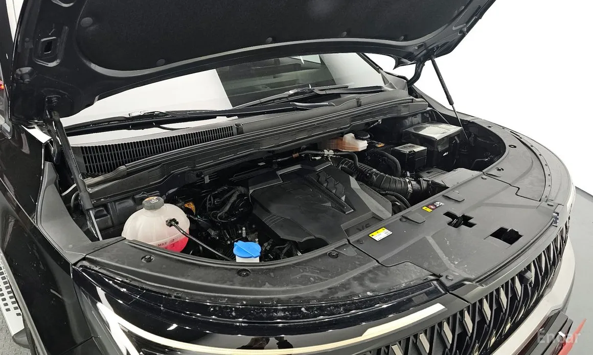 Фото 6 - Kia Carnival