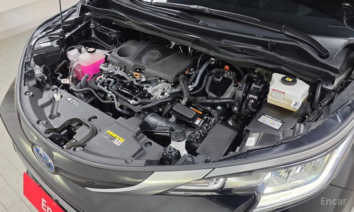 Фото 6 - Toyota Sienna