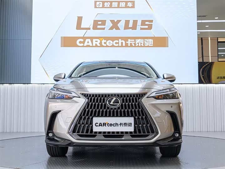 Фото 1 - Lexus NX