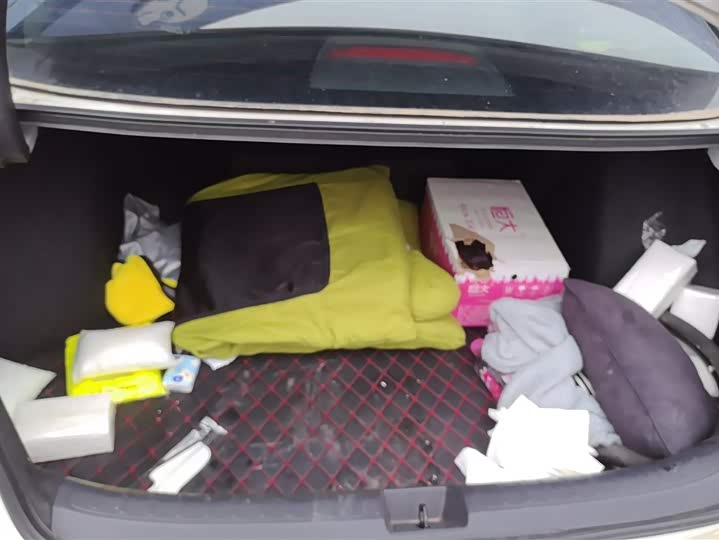 Фото 4 - Honda Civic