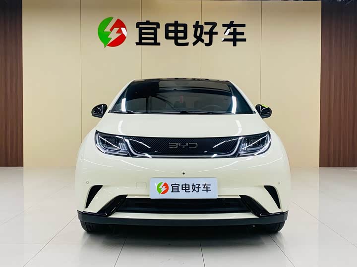 Фото 2 - BYD Dolphin