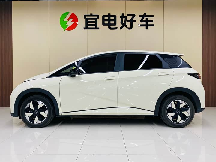 Фото 4 - BYD Dolphin