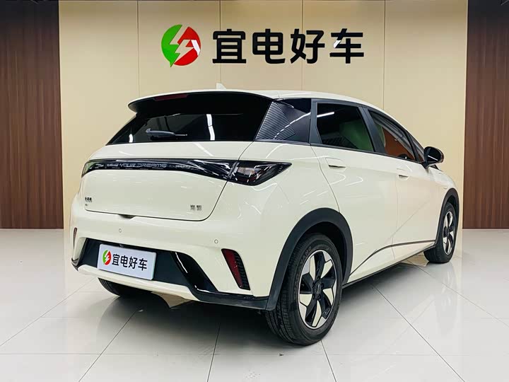 Фото 5 - BYD Dolphin