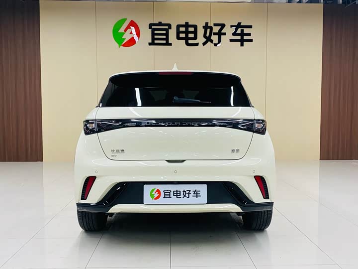 Фото 6 - BYD Dolphin