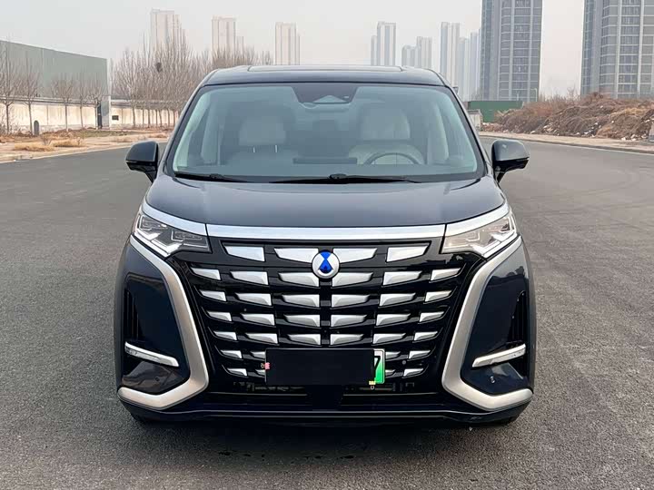 Фото 1 - Denza D9