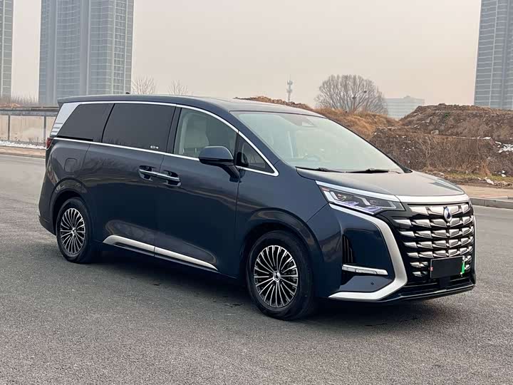 Фото 3 - Denza D9