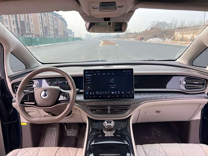 Фото 9 - Denza D9