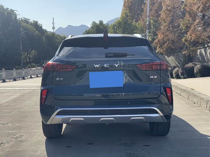 Фото 4 - Wey Mocha