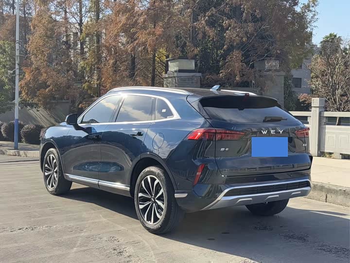 Фото 5 - Wey Mocha