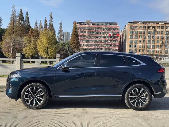 Фото 6 - Wey Mocha