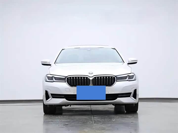 Фото 2 - BMW 5 Series Hybrid
