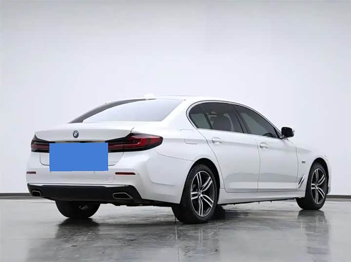 Фото 4 - BMW 5 Series Hybrid