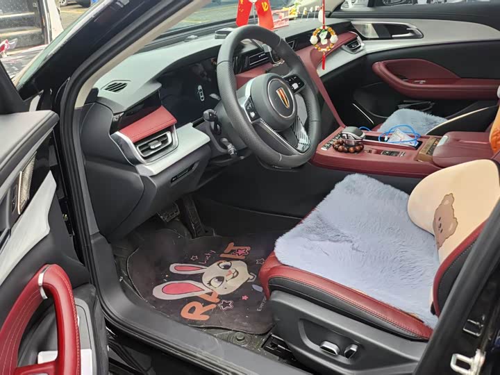 Фото 6 - Hongqi H5