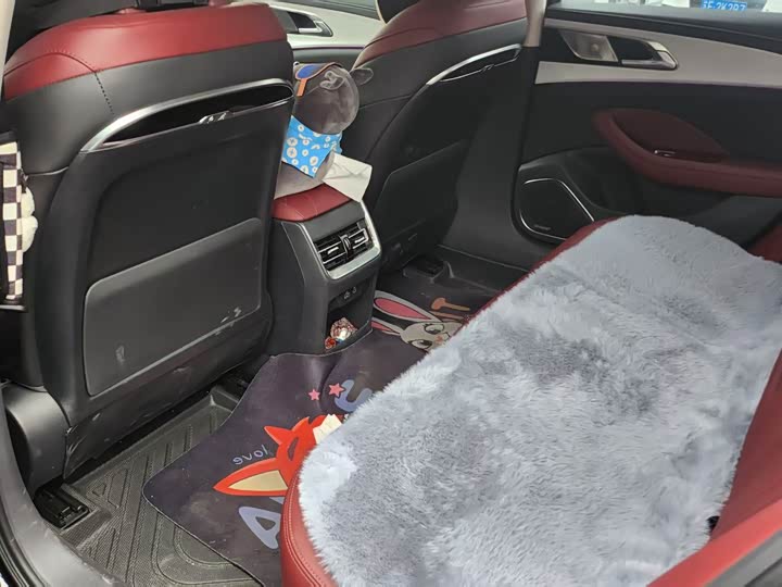 Фото 7 - Hongqi H5