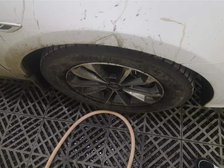 Фото 6 - BYD Qin Plus